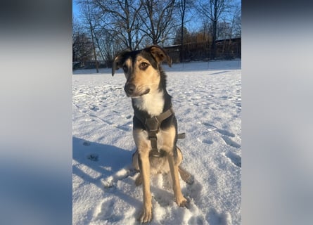 Polly  in der Nähe von Karlsruhe zu besuchen