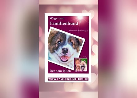 Welpe, Hund, Mischling, Rasse - Erziehung zum Familienhund - einfach gemacht