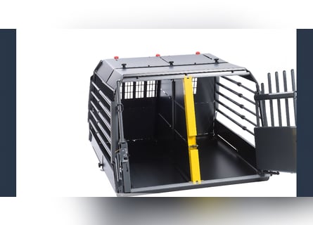 Altdeutsche Schäferhündin „Mia“ & Eurasier „Koda“ nur gemeinsam