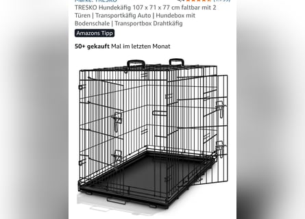 Altdeutsche Schäferhündin „Mia“ & Eurasier „Koda“ nur gemeinsam