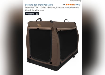 Altdeutsche Schäferhündin „Mia“ & Eurasier „Koda“ nur gemeinsam