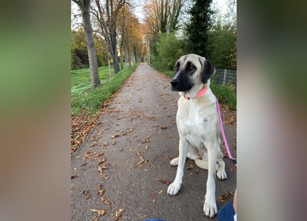 Luna Maus sucht ein herzliches Zuhause
