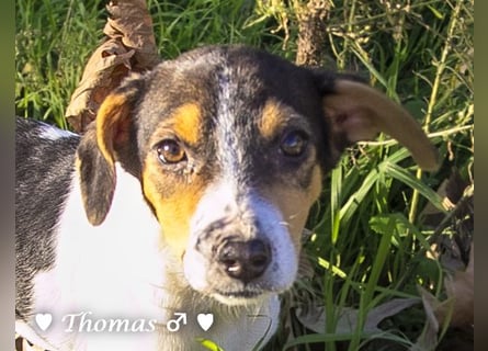 Update neue Bilder: Sechs Winzlinge  suchen ein Zuhause