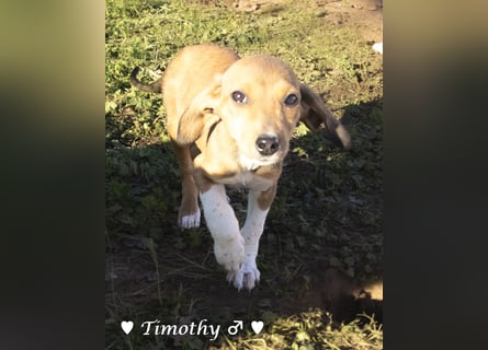 Update neue Bilder: Sechs Winzlinge  suchen ein Zuhause