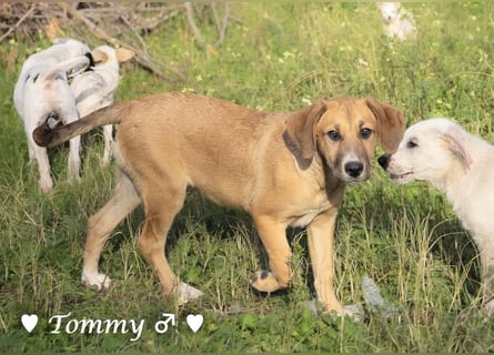 Zwei kleine Jungs   suchen ein Zuhause
