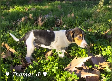 Update neue Bilder: Sechs Winzlinge  suchen ein Zuhause