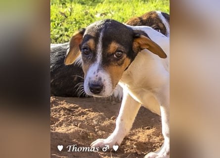 Update: drei Winzlinge  suchen ein Zuhause