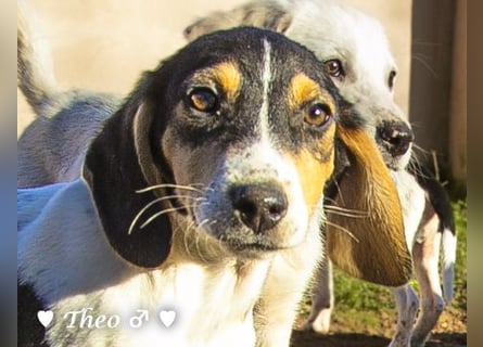 Update neue Bilder: Sechs Winzlinge  suchen ein Zuhause