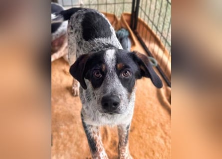 Reserviert - Oceano möchte endlich die Welt entdecken