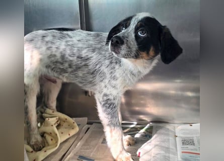 Reserviert - Oceano möchte endlich die Welt entdecken