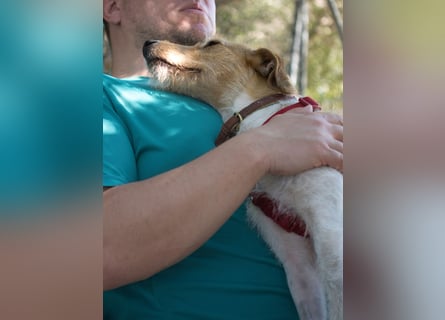 Selene - ein Engel auf 4 Pfoten