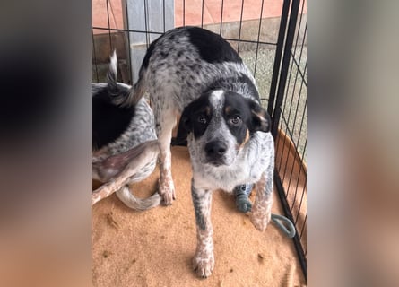 Reserviert - Oceano möchte endlich die Welt entdecken