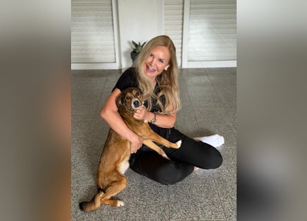 Traurige Bella  kann in der Südpfalz  besucht werden