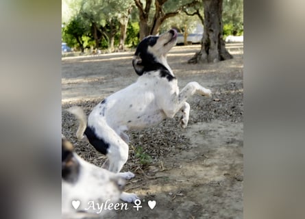 Ayleen und Layla suchen ein Zuhause