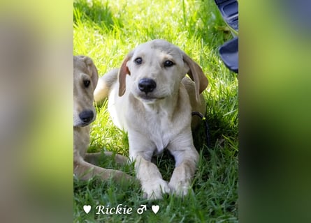 Roberta und Robbie, f.,  suchen eine Familie