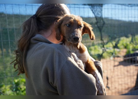 Elias und Elton  suchen ab Ende März ein Zuhause