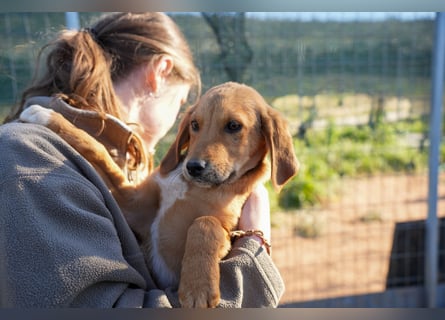 Elias und Elton  suchen ab Ende März ein Zuhause
