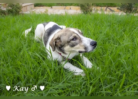 Kea  und Kay auf der Suche nach ihrer Familie
