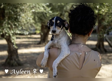 Axel und Ayleen suchen ein Zuhause