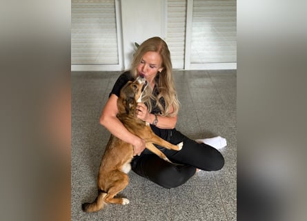 Traurige Bella  kann in der Südpfalz  besucht werden