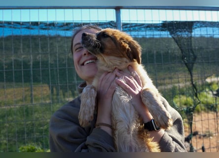 Elias, Evi, Elli und Eros suchen ab Ende März ein Zuhause