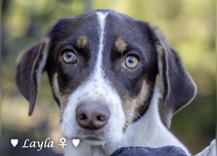 Ayleen und Layla suchen ein Zuhause