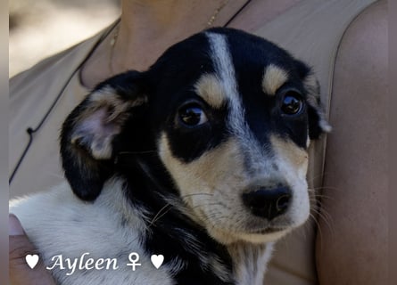 Axel und Ayleen suchen ein Zuhause