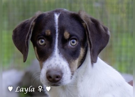 Ayleen und Layla suchen ein Zuhause