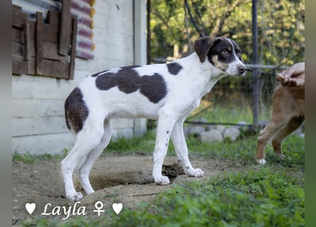Ayleen und Layla suchen ein Zuhause