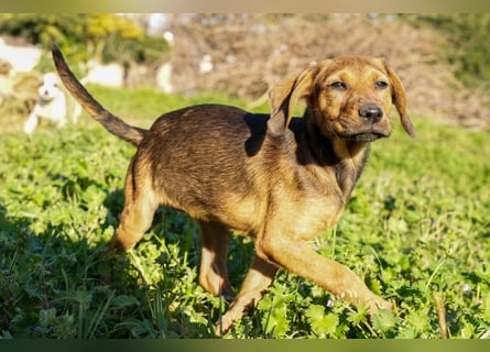 Gaia und Gino suchen ein Zuhause