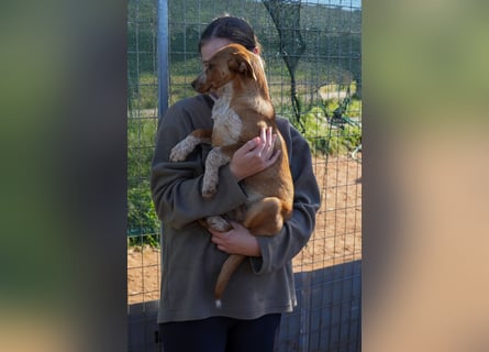 Elias, Evi, Elli und Eros suchen ab Ende März ein Zuhause