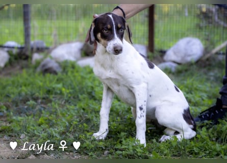 Ayleen und Layla suchen ein Zuhause