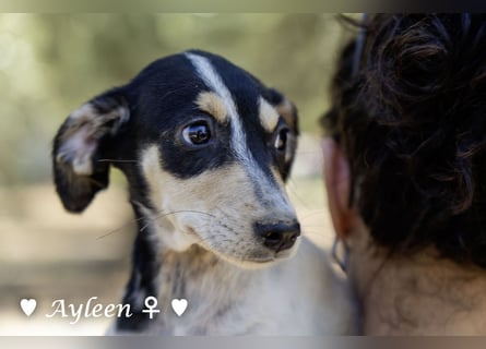 Axel und Ayleen suchen ein Zuhause