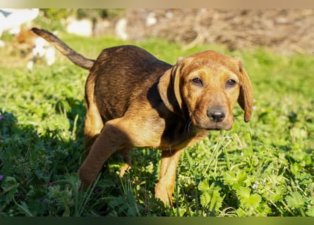 Gaia und Gino suchen ein Zuhause