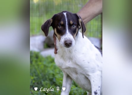 Ayleen und Layla suchen ein Zuhause