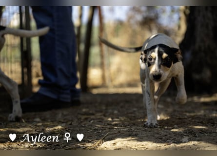 Axel und Ayleen suchen ein Zuhause