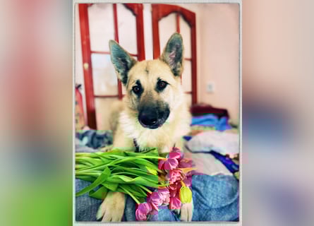 Eine echte Seele, auf der Suche nach ihren Seelens-Menschen!