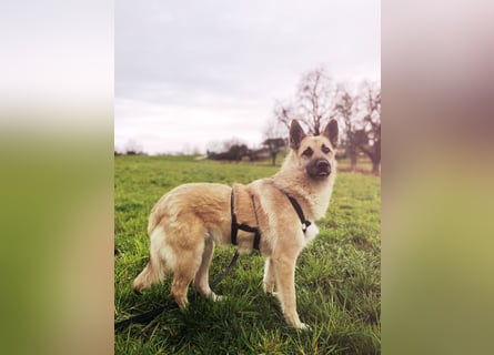 Eine echte Seele, auf der Suche nach ihren Seelens-Menschen!