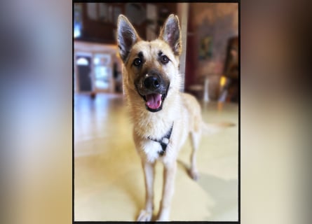 Eine echte Seele, auf der Suche nach ihren Seelens-Menschen!