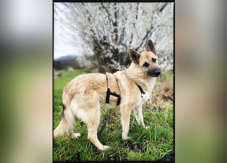 Eine echte Seele, auf der Suche nach ihren Seelens-Menschen!