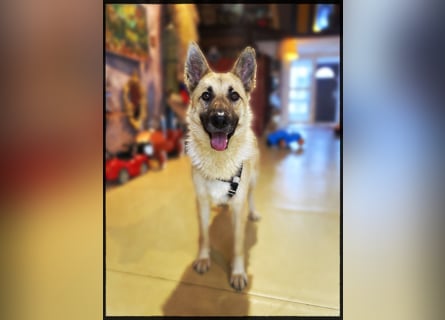 Eine echte Seele, auf der Suche nach ihren Seelens-Menschen!