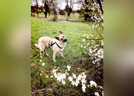 Eine echte Seele, auf der Suche nach ihren Seelens-Menschen!