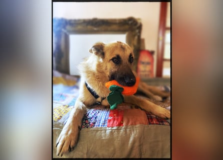 Eine echte Seele, auf der Suche nach ihren Seelens-Menschen!