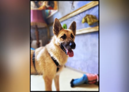 Eine echte Seele, auf der Suche nach ihren Seelens-Menschen!