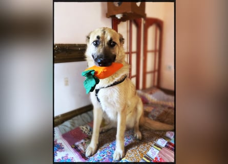 Eine echte Seele, auf der Suche nach ihren Seelens-Menschen!