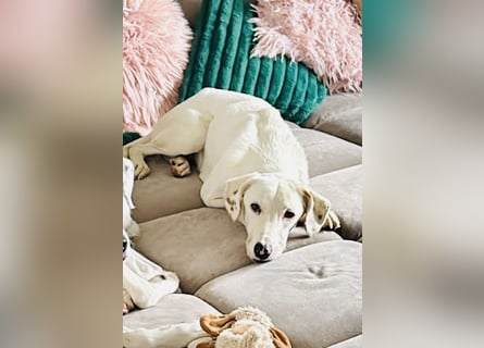 Mika - Darf ich bei dir ankommen?