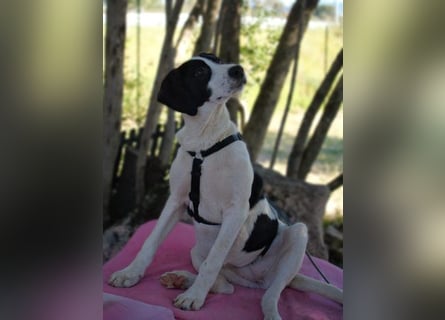 Alice- mit einem Lächeln ins Wunderland