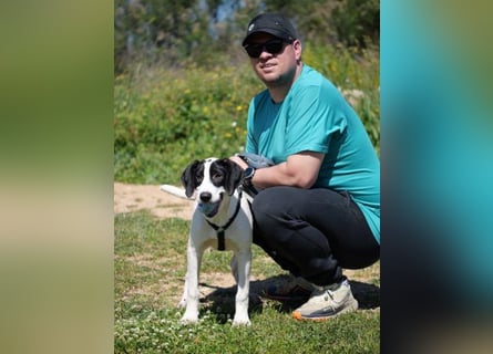 Alice- mit einem Lächeln ins Wunderland