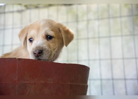 Kira, Kalle, Kasper und Karim suchen ein Zuhause