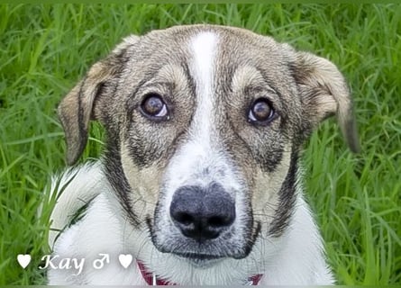 Kea  und Kay auf der Suche nach ihrer Familie